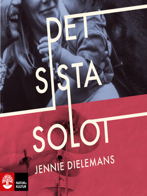cover image of Det sista solot